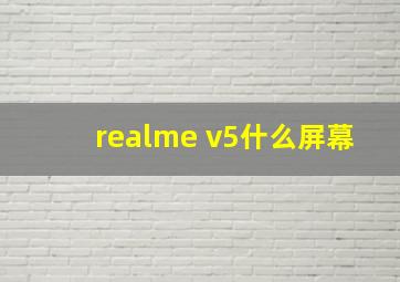 realme v5什么屏幕